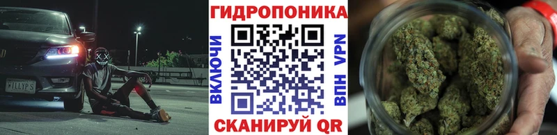 Какие есть наркотики Аркадак Конопля Псилоцибиновые грибы A-PVP МДМА Меф ГАШИШ