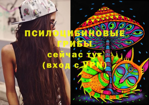 прущая мука Алексин